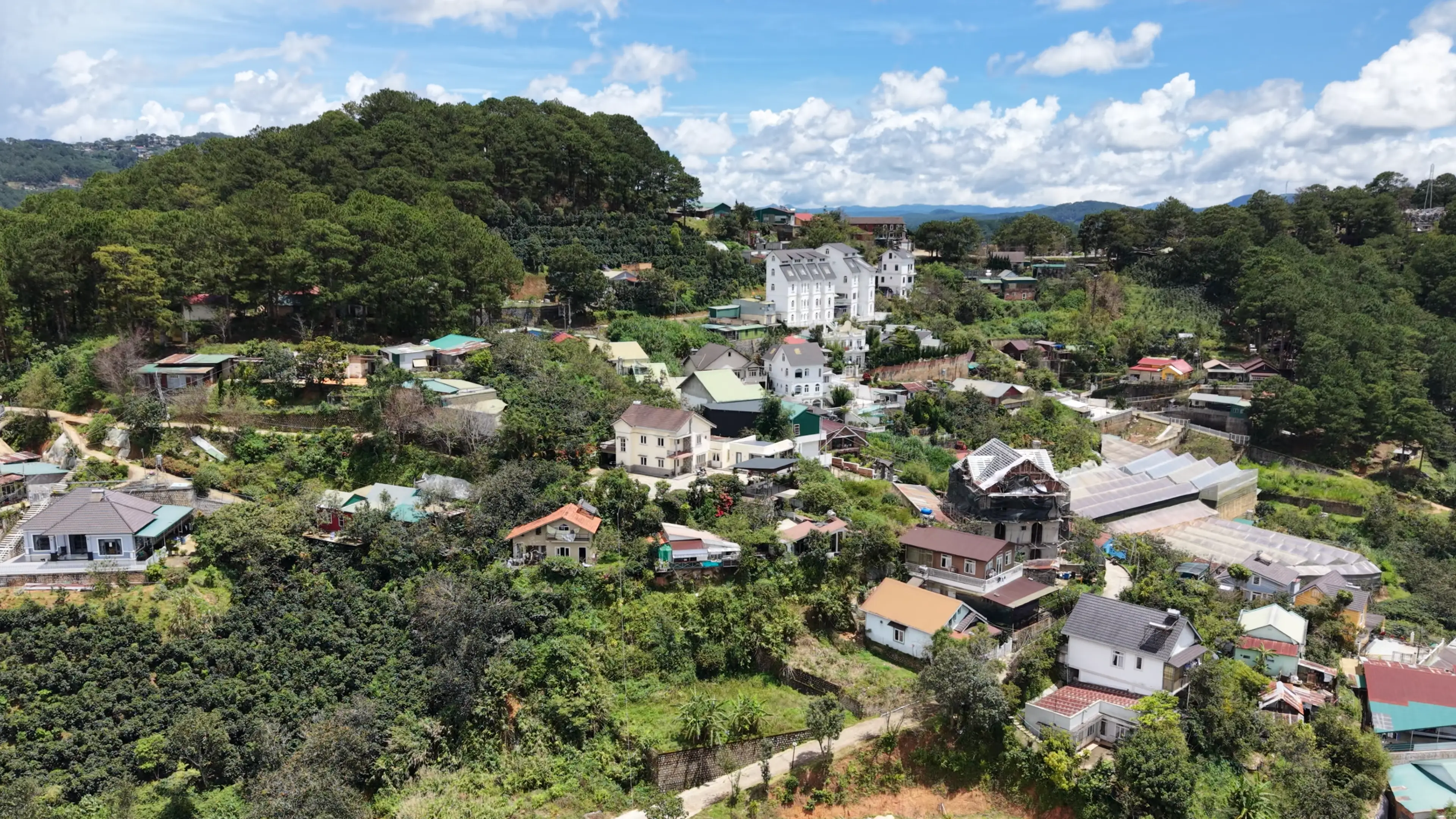 When to Visit Dalat: Month-by-Month Weather & Travel Guide